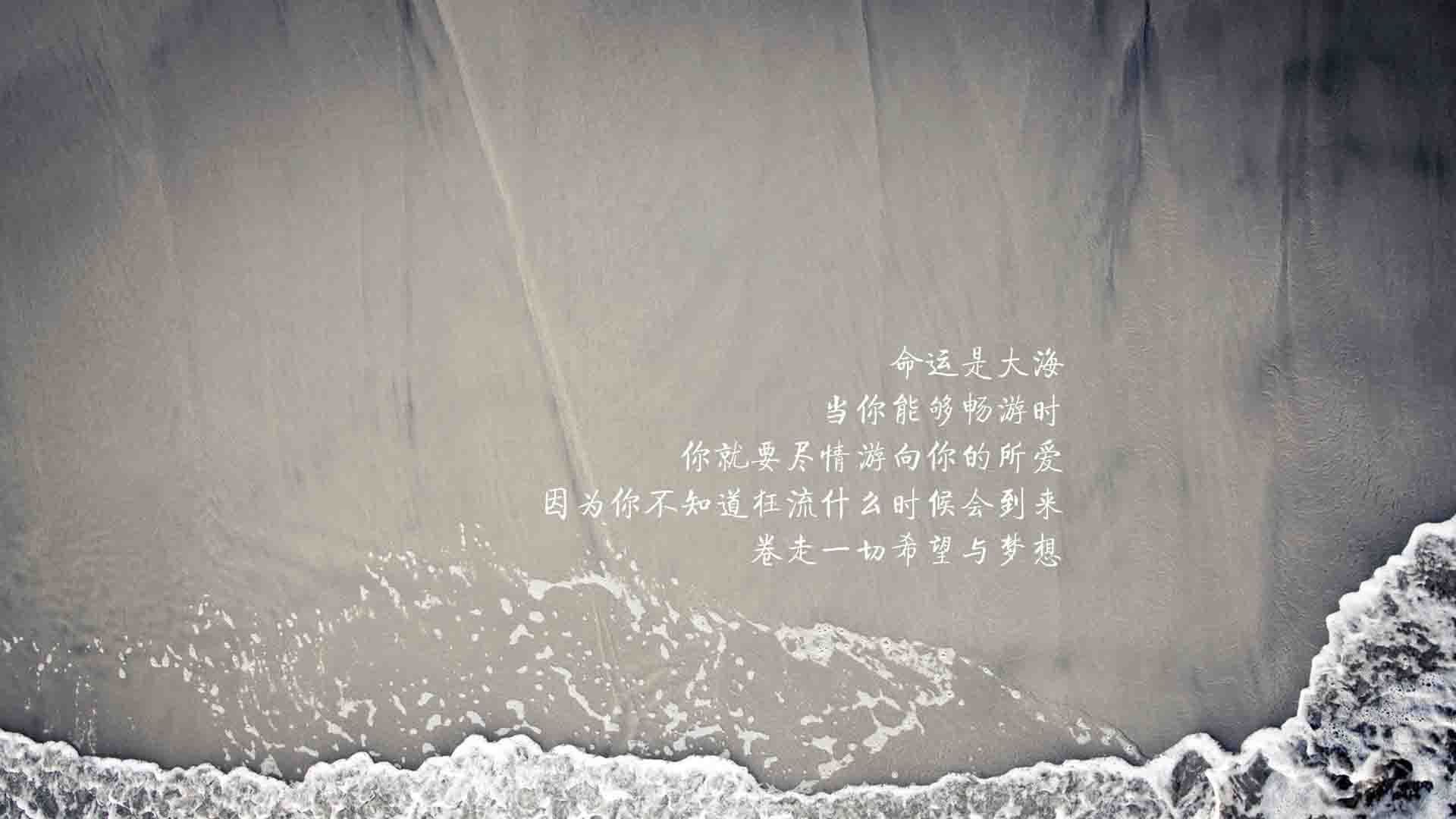 电子极限运动：虚拟世界的速度挑战